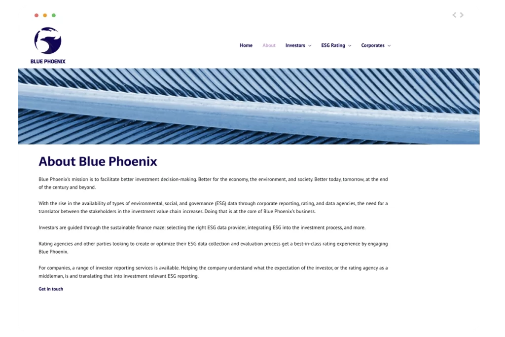 Blue Phoenix webdesign